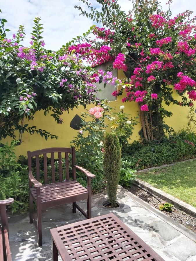Mi Jardin Villa Frontera Exterior photo