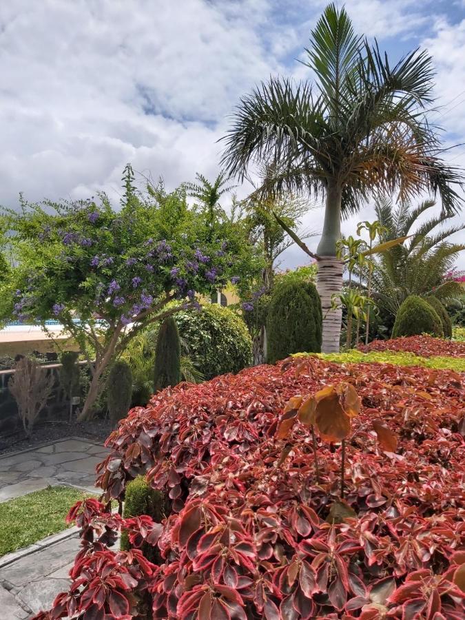Mi Jardin Villa Frontera Exterior photo